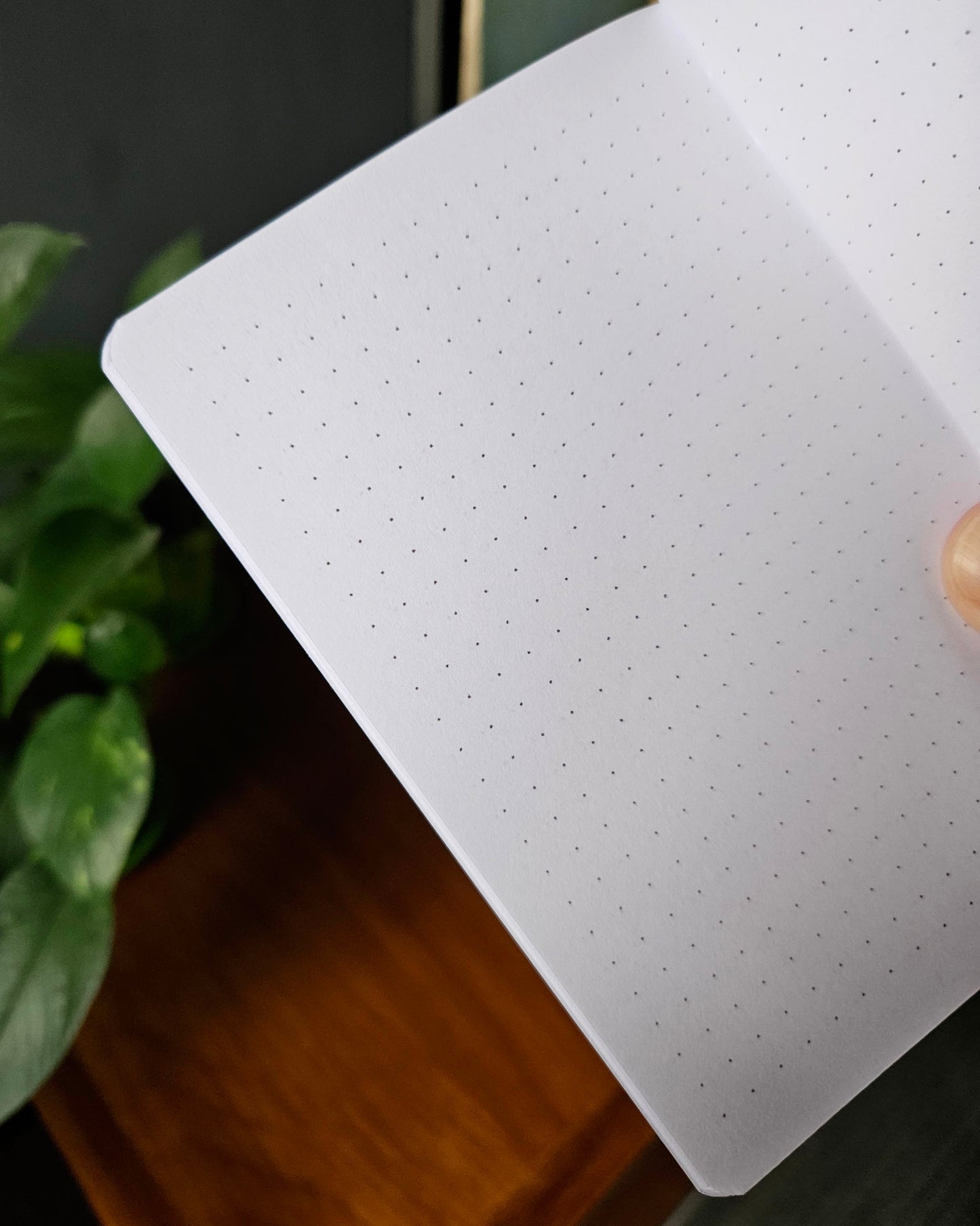 DB book | 14 x 10 cm - 52 Dotted Pages - (World Map)